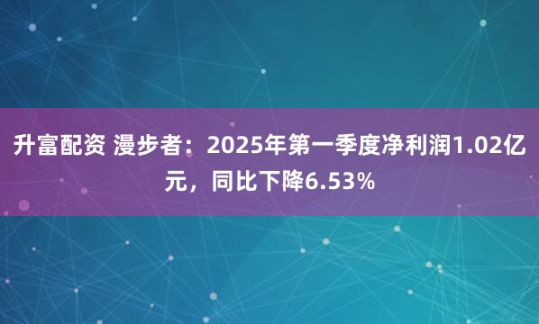 升富配资 漫步者：2025年第一季度净利润1.02亿元，同比下降6.53%