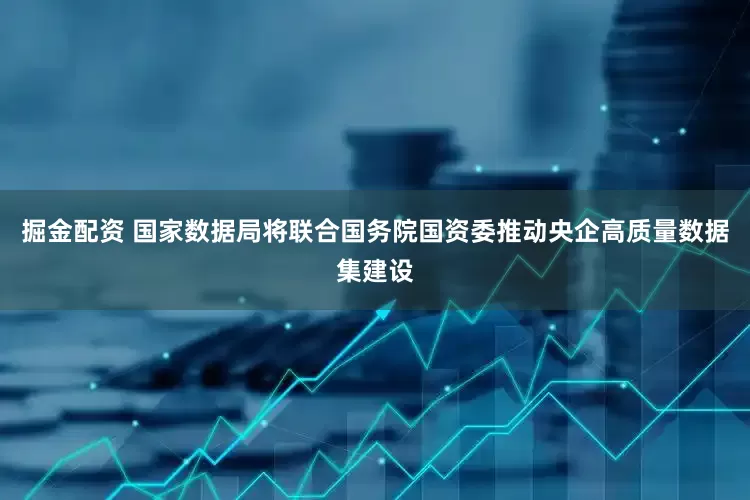 掘金配资 国家数据局将联合国务院国资委推动央企高质量数据集建设