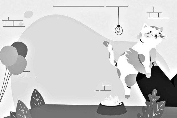 泸深在线 小猫 来找家